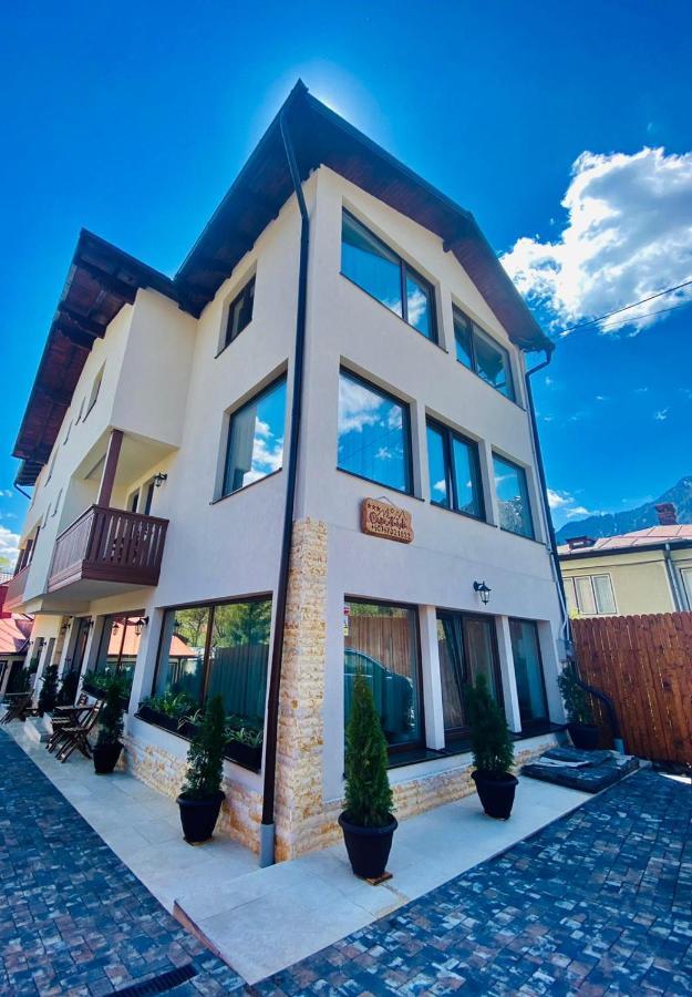 Bed and Breakfast Casa Ankeli Буштени Экстерьер фото