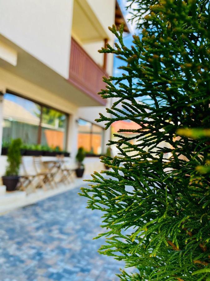 Bed and Breakfast Casa Ankeli Буштени Экстерьер фото
