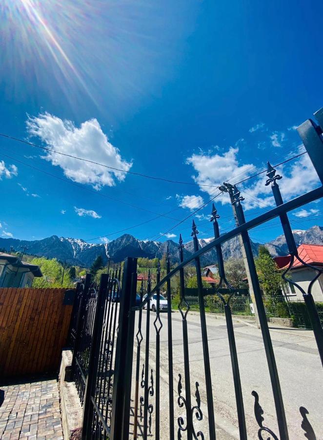 Bed and Breakfast Casa Ankeli Буштени Экстерьер фото